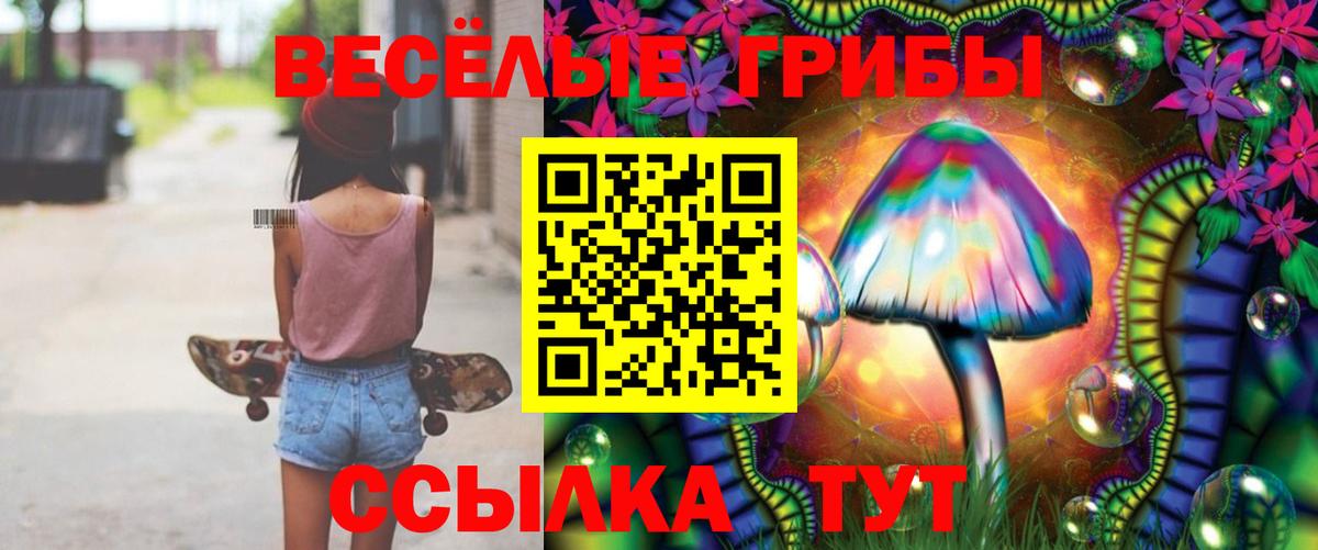 Великий Устюг  Псилоцибиновые грибы GOLDEN TEACHER  Вход с VPN 