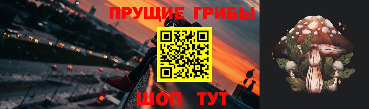 Псилоцибиновые грибы мицелий Великий Устюг